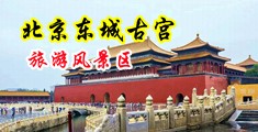 开挡黑丝大长腿福利姬美女的色图中国北京-东城古宫旅游风景区